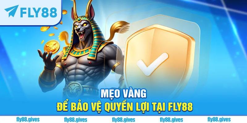 Mẹo hay để bảo vệ quyền lợi tại trang chủ Fly88